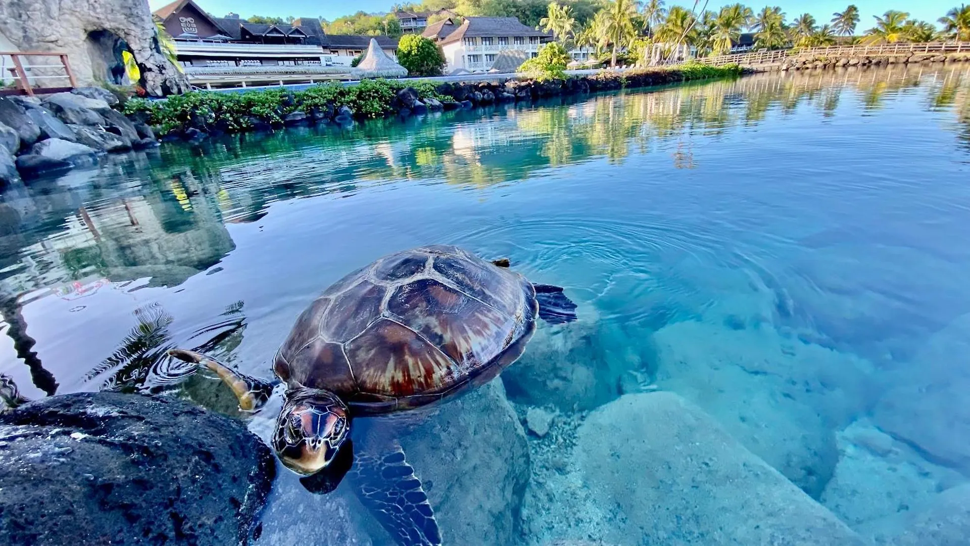 ****  Intercontinental Tahiti Resort & Spa, An Ihg Hotel Faaa Frans-Polynesië