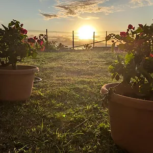 Holiday home Airport Garden